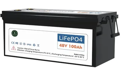 48V Golf Cart Battery